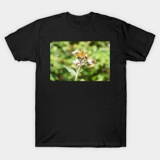 Bee And Moth On Water Hemp Flower T-Shirt